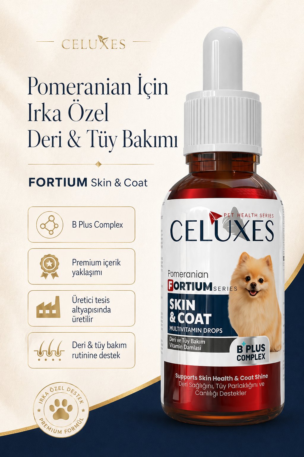FORTIUM Pomeranian Damla