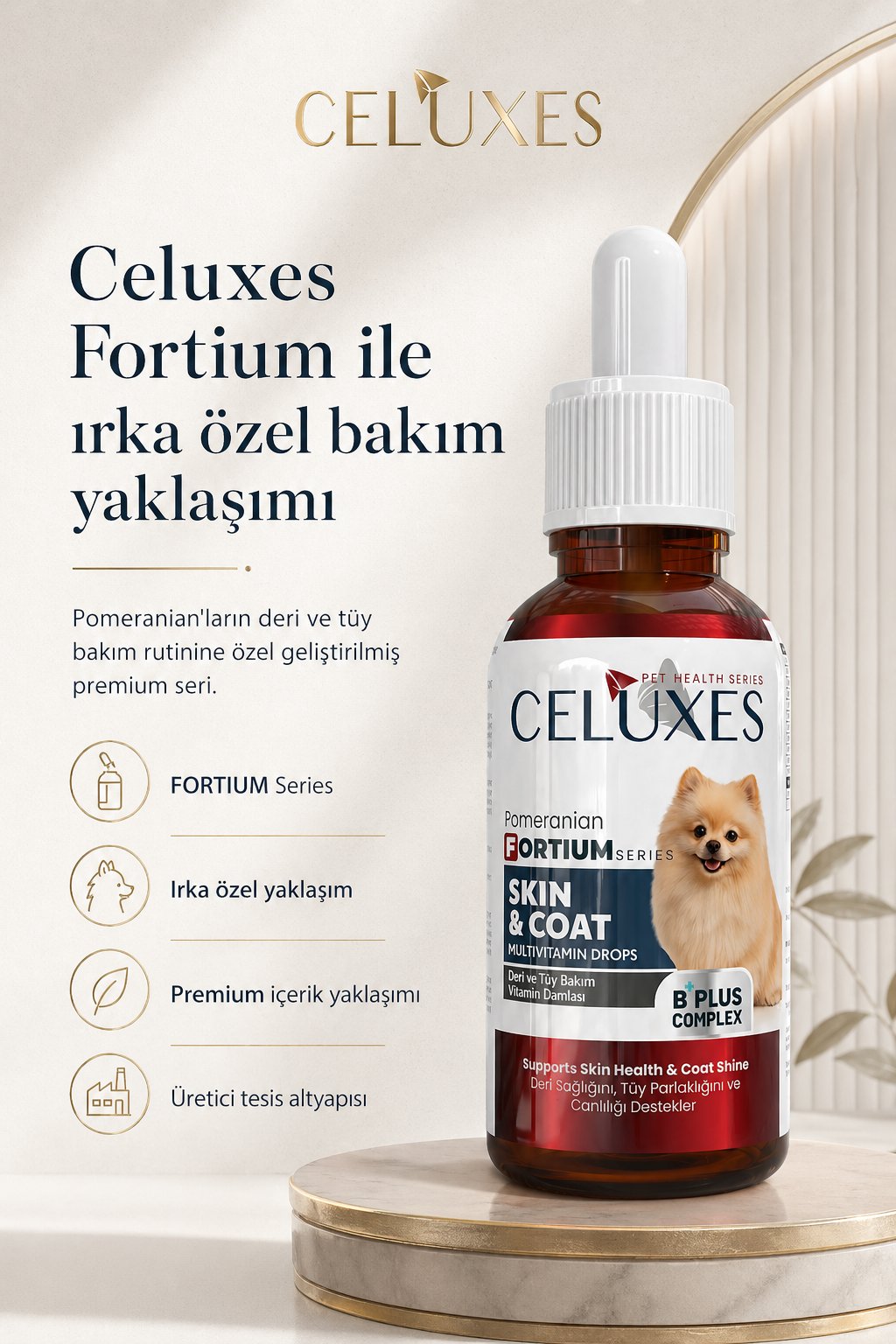 FORTIUM Pomeranian Damla
