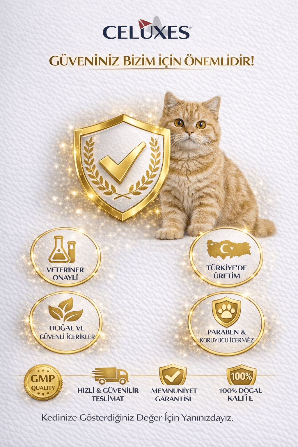Hairball • Digestive Support Malt