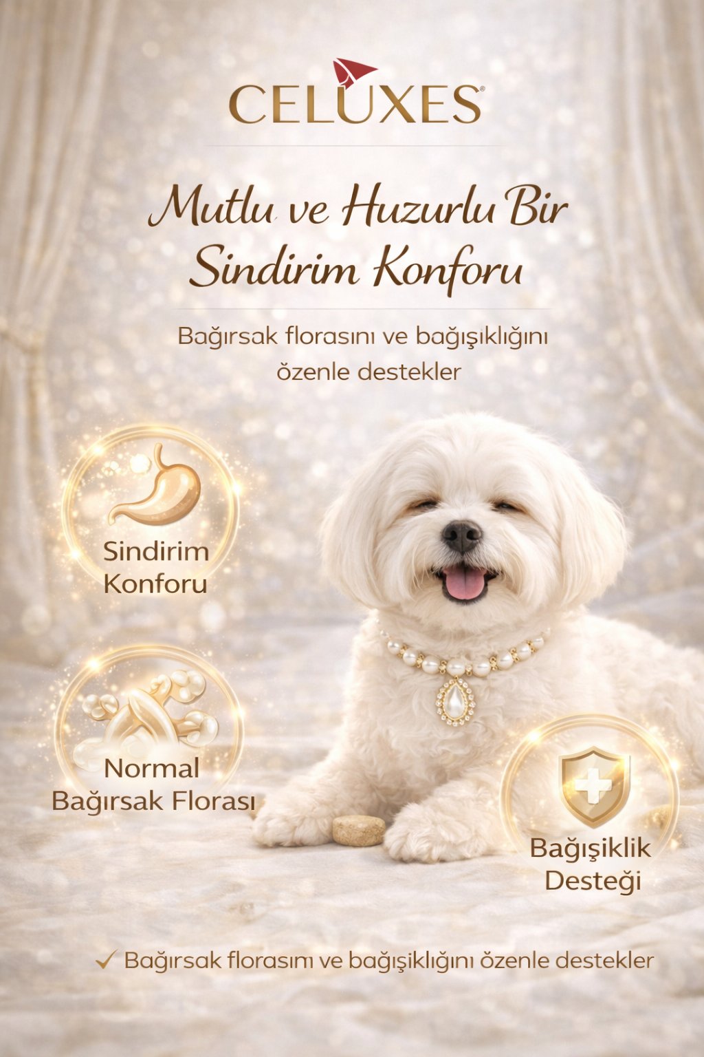 Maltese Terrier Comfort Tablet