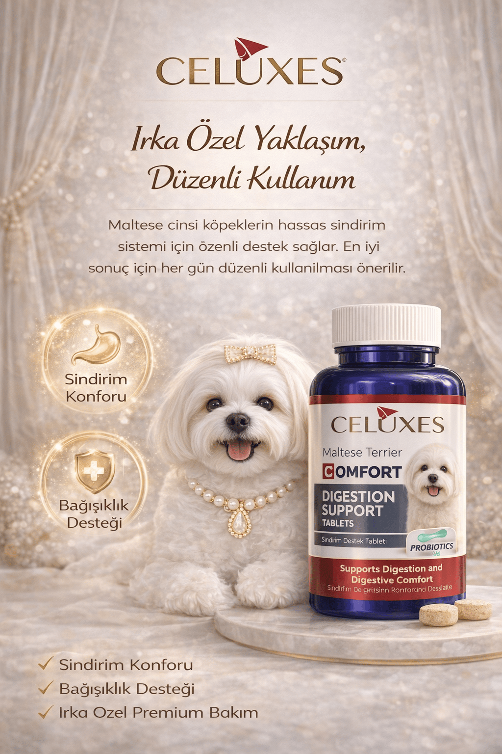 Maltese Terrier Comfort Tablet