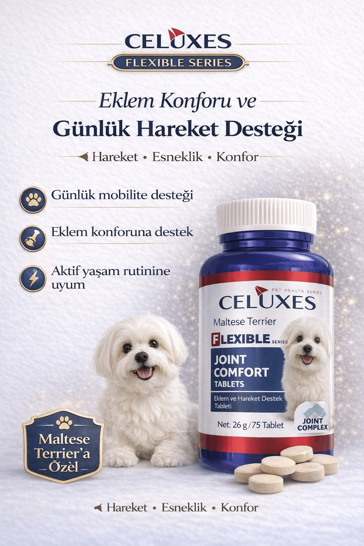 Maltese Terrier Eklem Destek Tablet