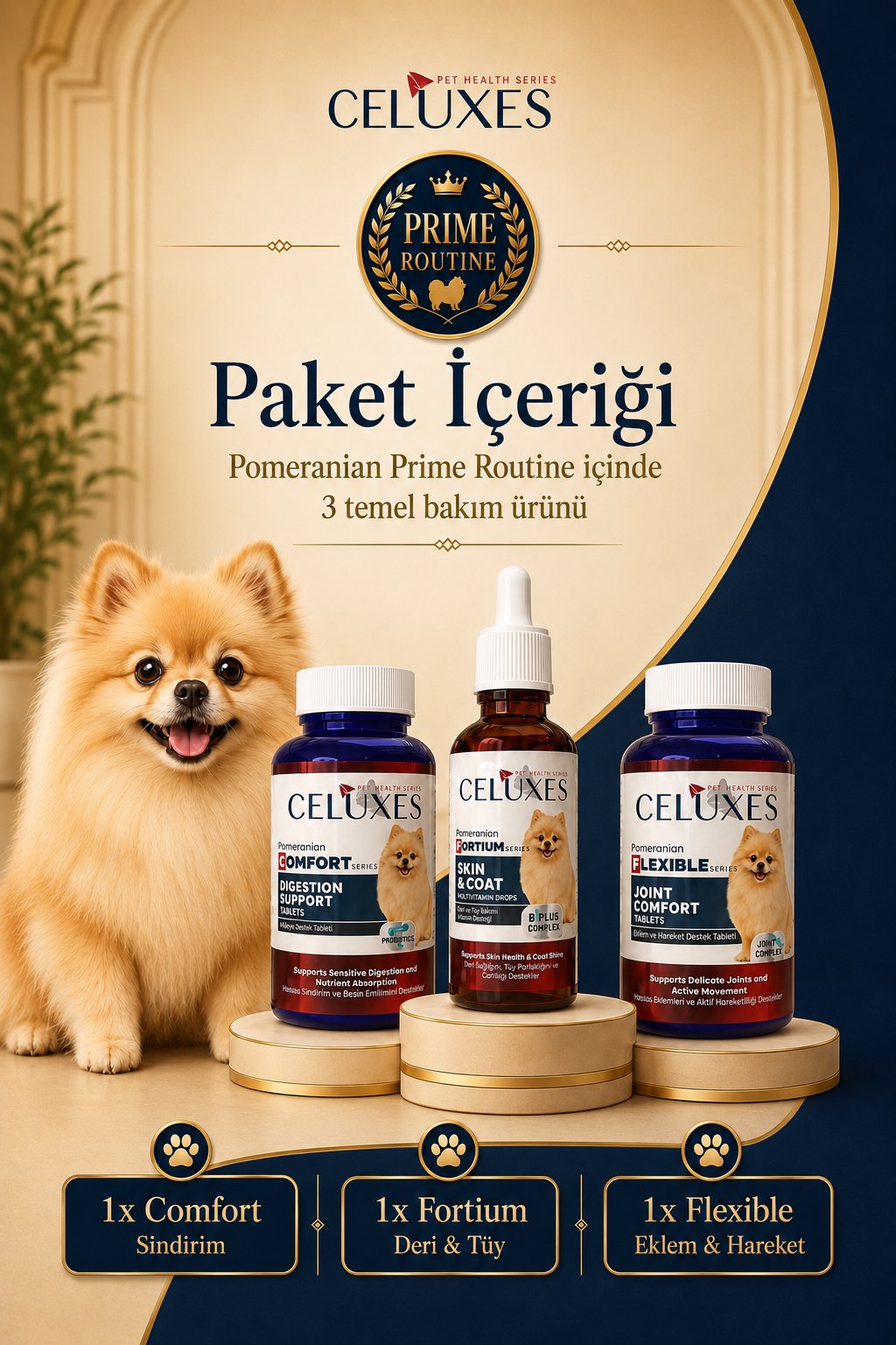 Pomeranian Prime Routine Paketi