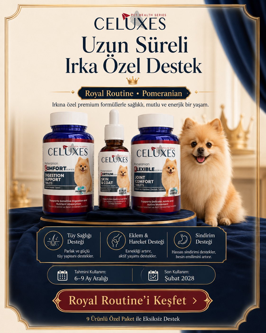Pomeranian Royal Routine Paketi