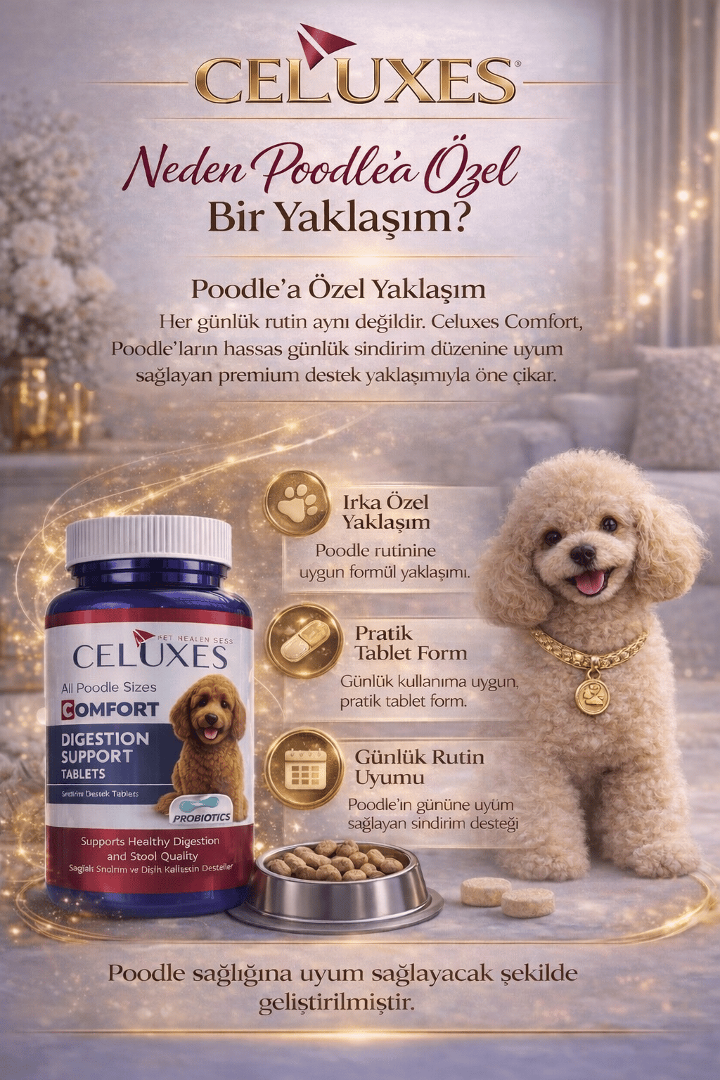 Poodle Comfort Tablet