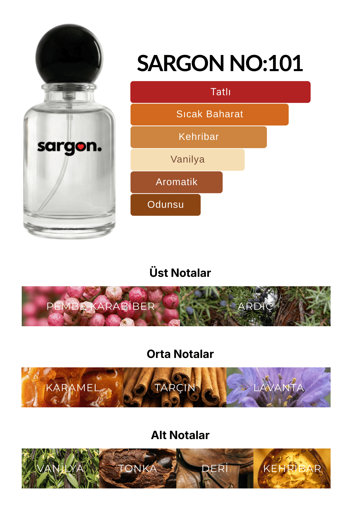 Sargon No:101 Erkek Parfüm 50 ml EDP | Yoğun Baharatlı & Tatlı