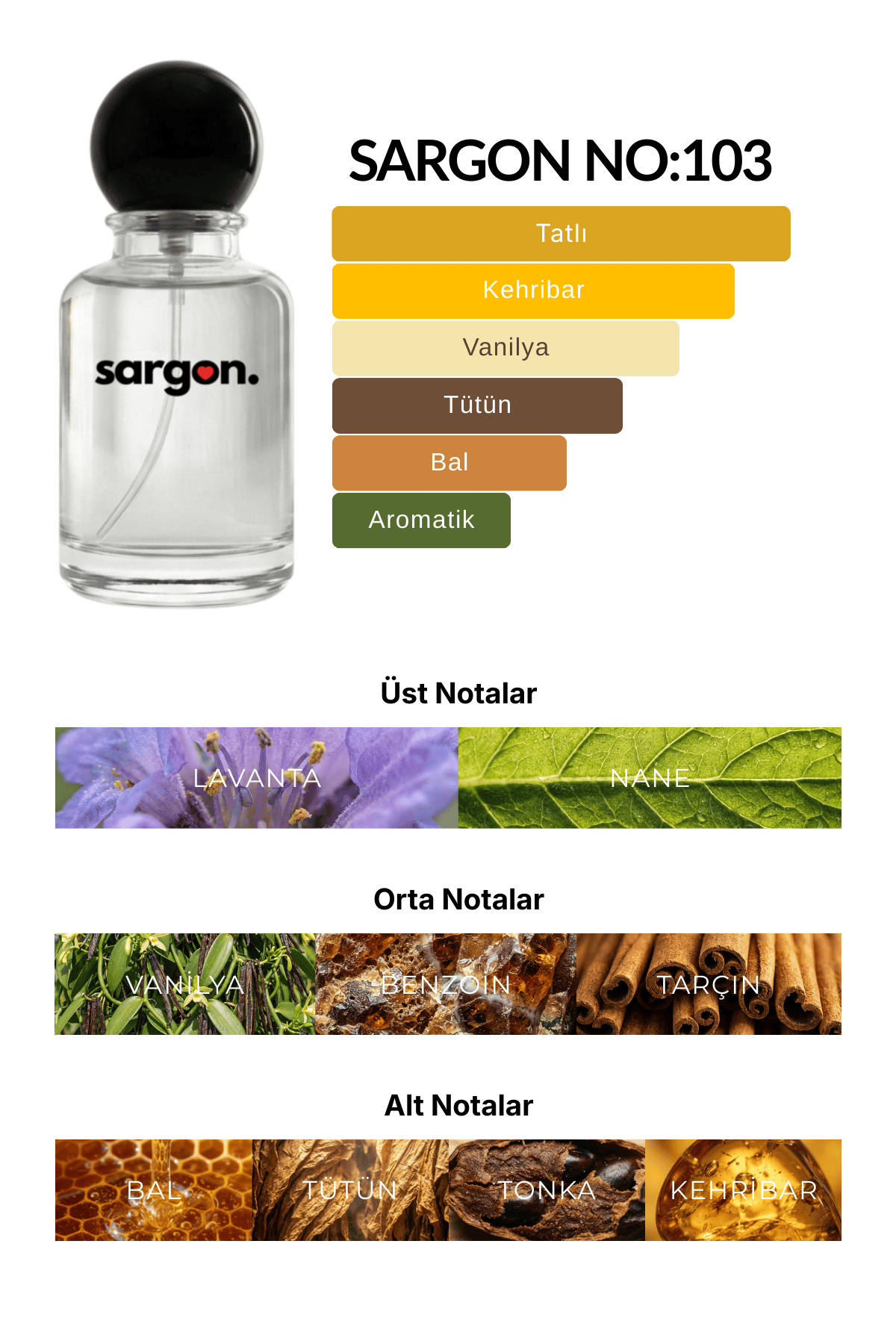 Sargon No:103 Erkek Parfüm 50 ml EDP | Oryantal & Fougère