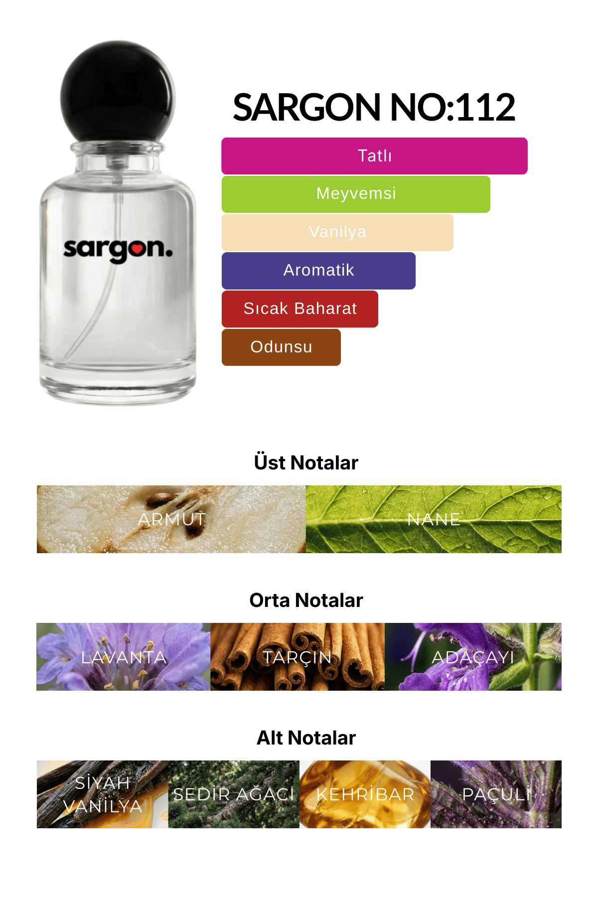 Sargon No:112 Erkek Parfüm 50 ml EDP | Meyveli & Oryantal