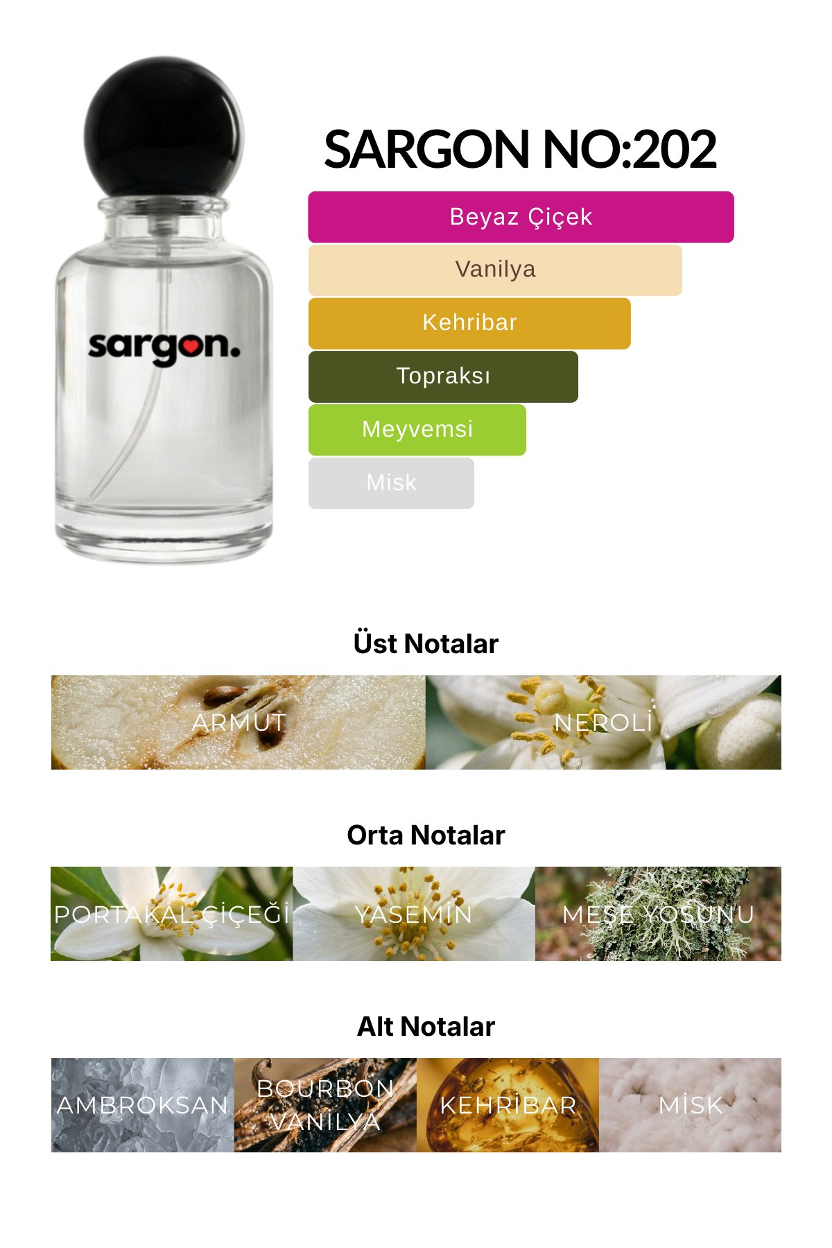 Sargon No:202 Kadın Parfüm 50 ml EDP | Çiçeksi & Kehribar
