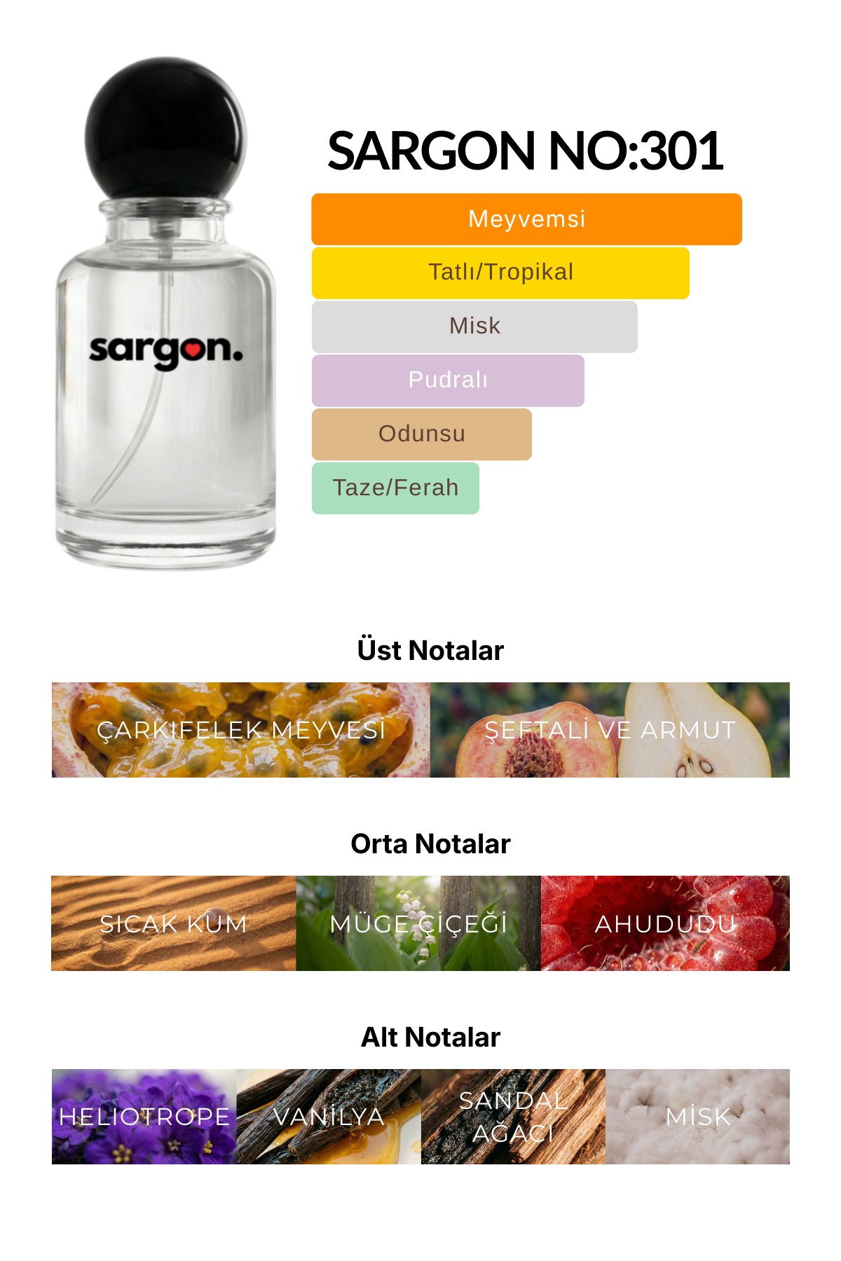 Sargon No:301 Unisex Parfüm 50 ml EDP | Meyveli & Misk