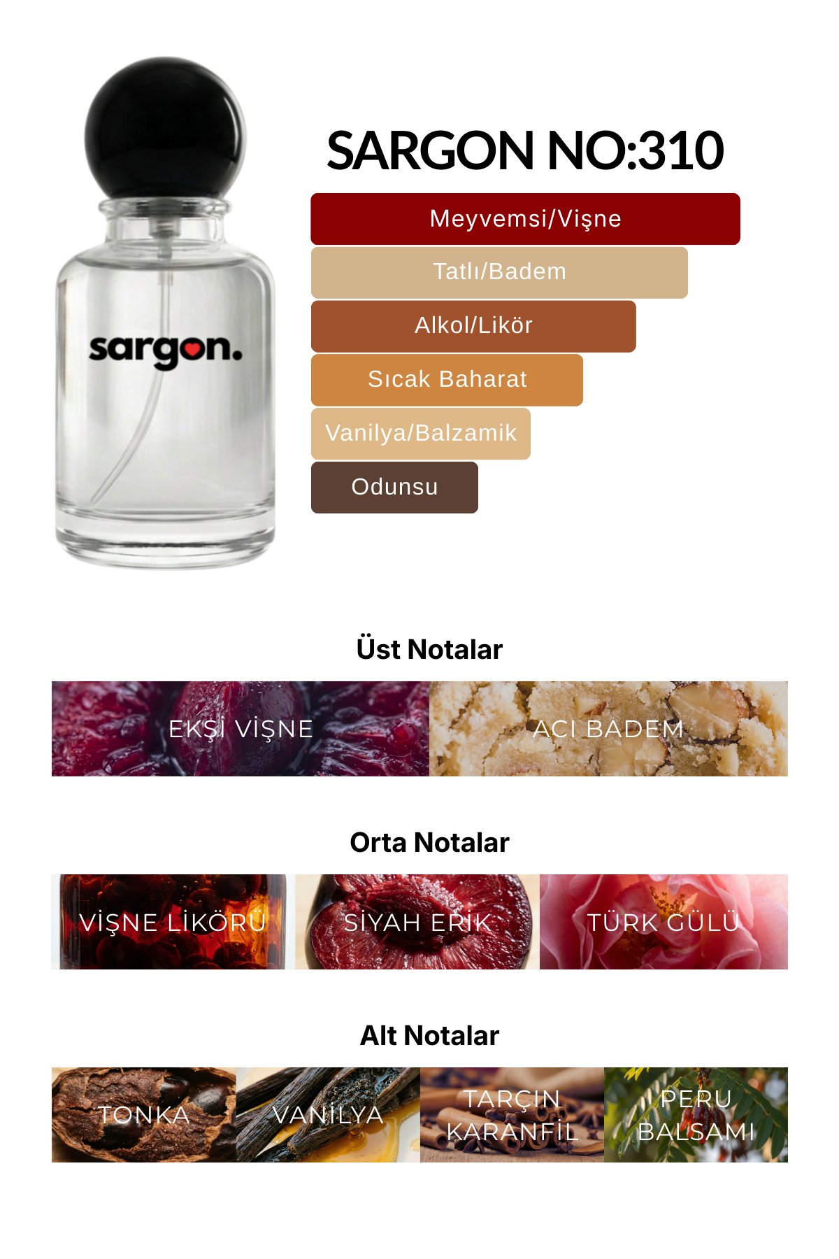 Sargon No:310 Unisex Parfüm 50 ml EDP | Vişne & Gurme
