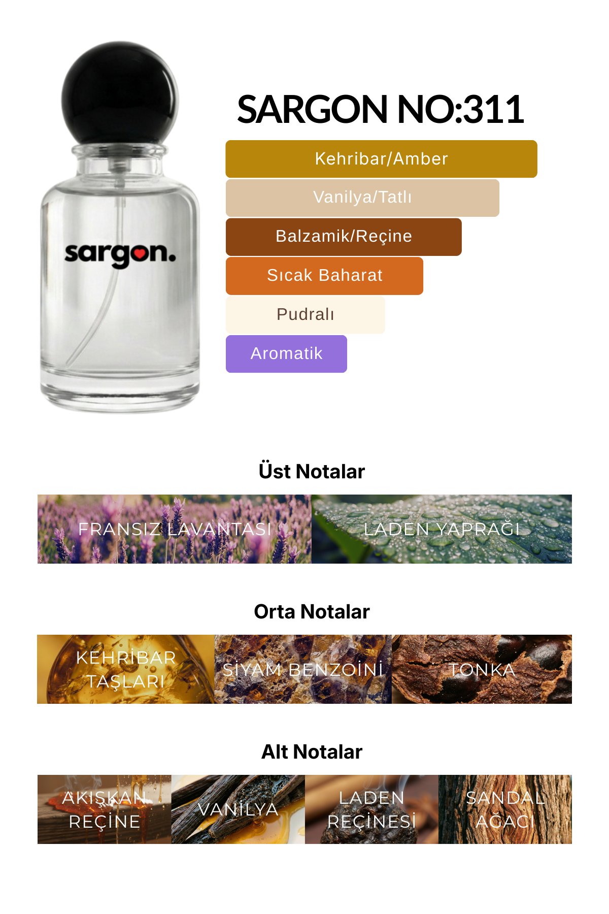 Sargon No:311 Unisex Parfüm 50 ml EDP | Kehribar & Oryantal