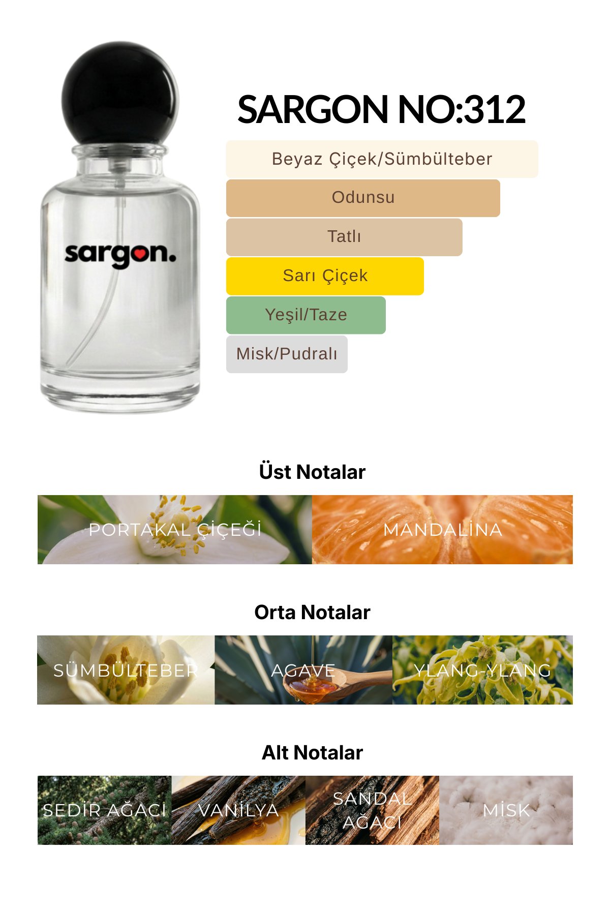 Sargon No:312 Unisex Parfüm 50 ml EDP | Çiçeksi & Tatlı