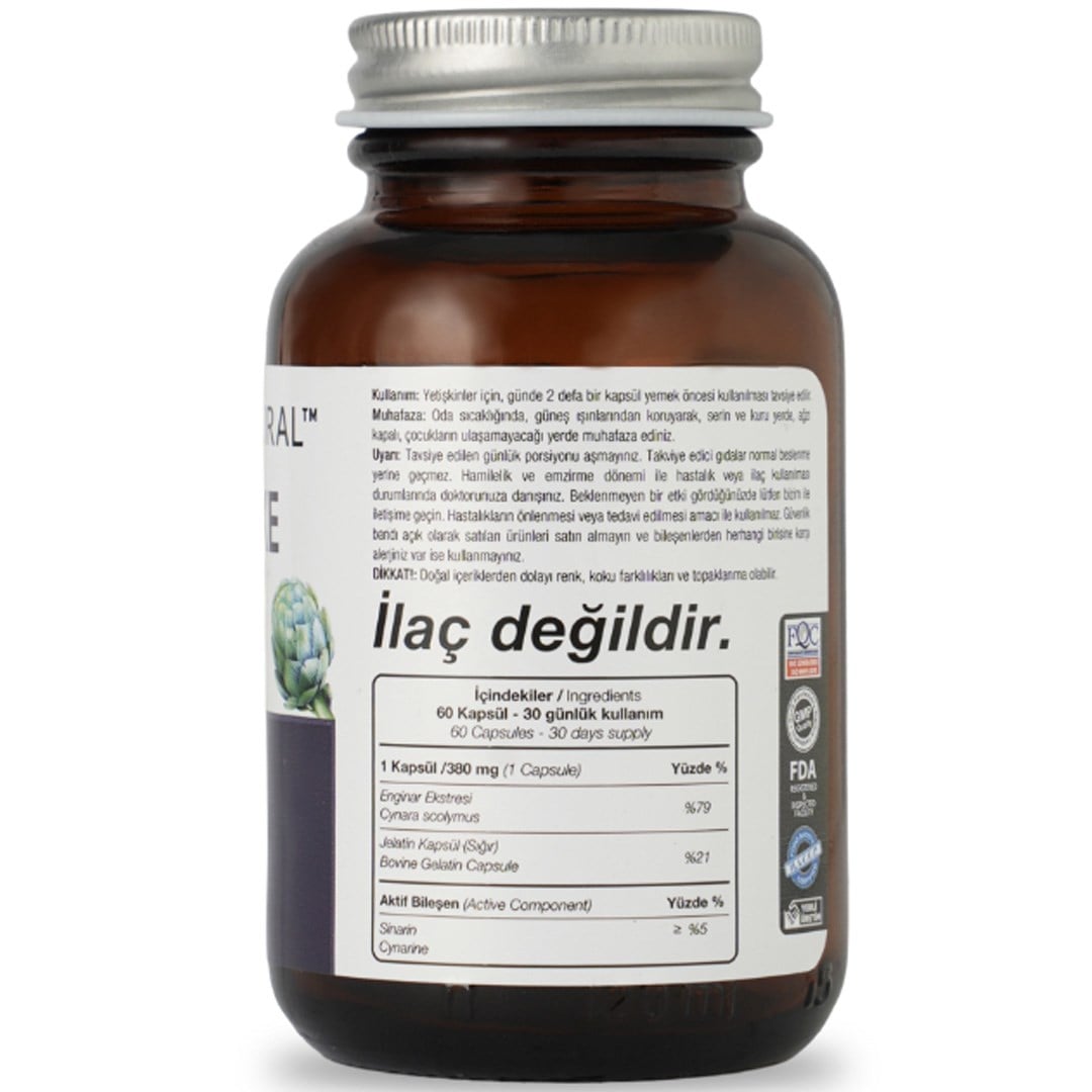 SPN  ARTICHOKE ENGİNAR EKSTRESİ 60 KAPSUL X 380MG