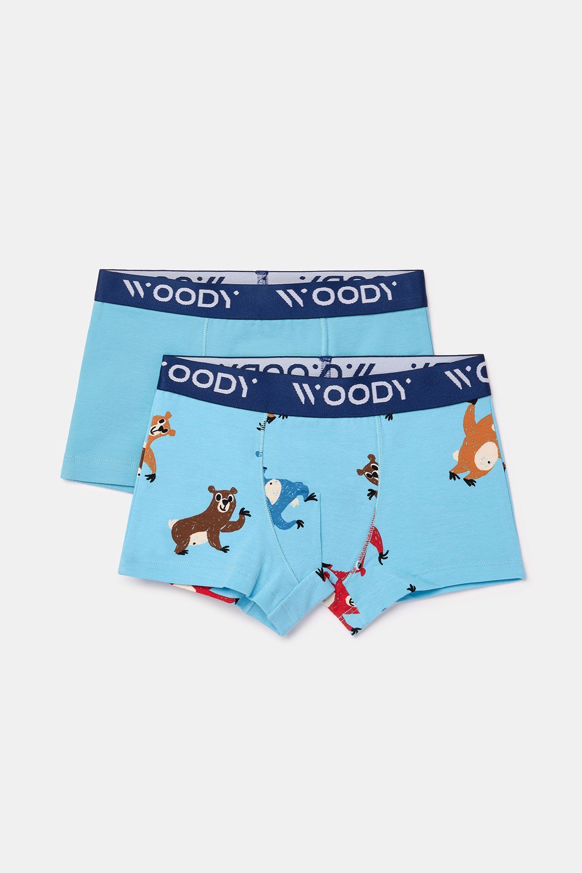 2-8 Yaş 2'li Erkek Çocuk Boxer