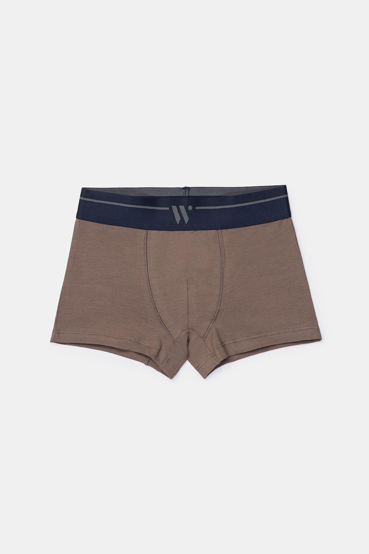 BOXER