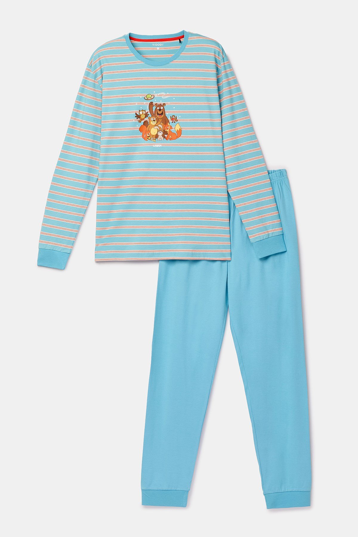 Mavi Çizgili Baskılı Erkek Pijama