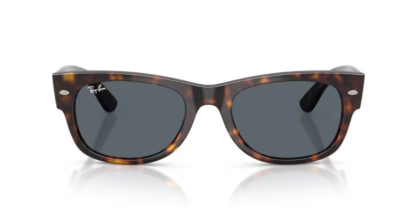 RAY-BAN 0832S 902/R5