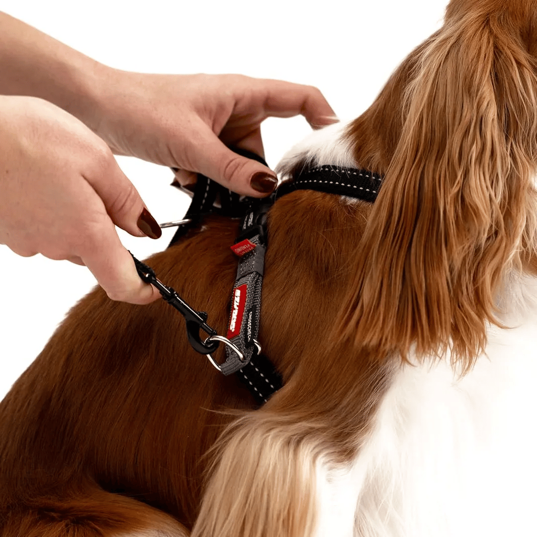 Ezydog Crosscheck Training Köpek Göğüs Tasması