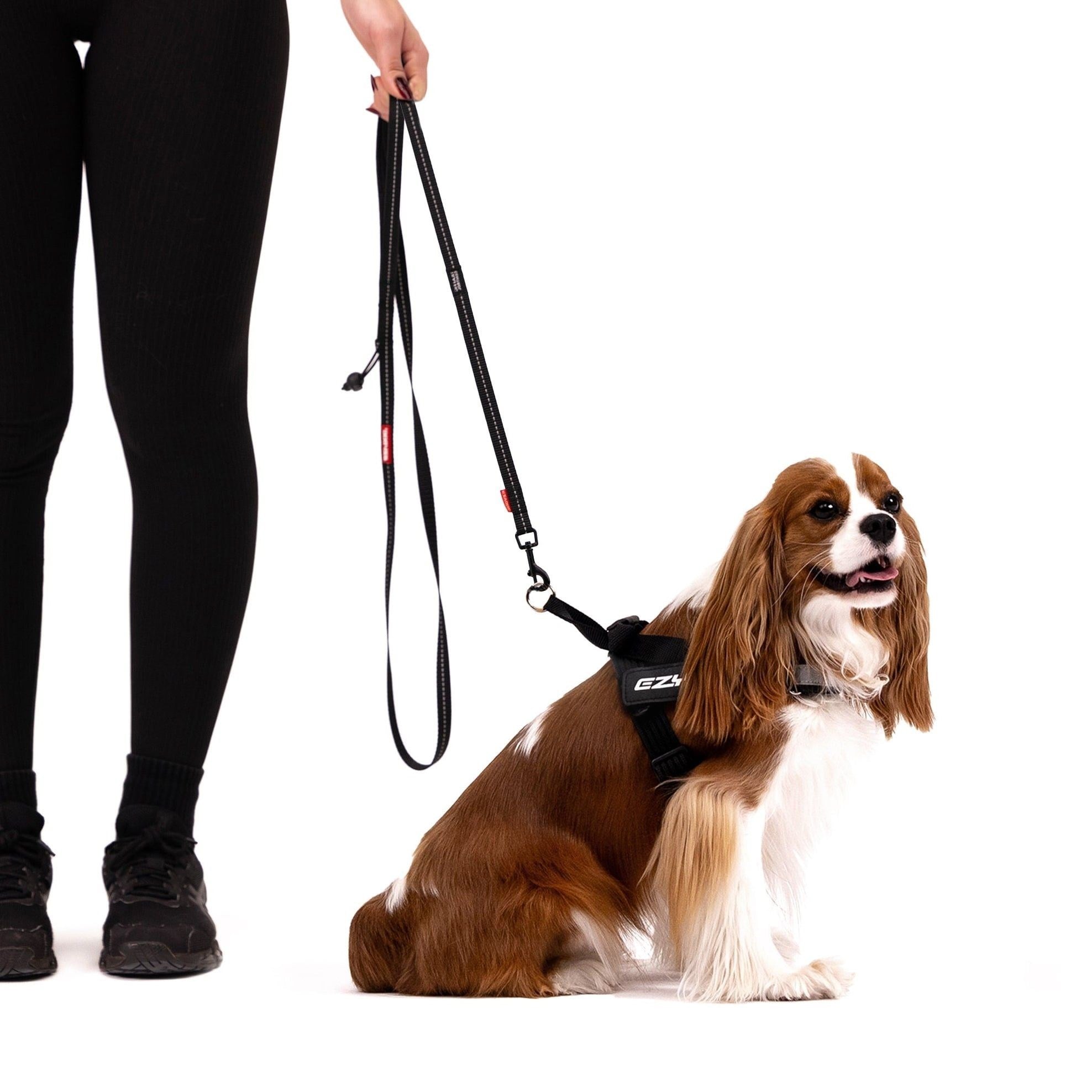 Ezydog Trainer Soft Lite Pembe Kamuflaj Kayış 12mm | Bikoşu Mama Ezydog Trainer Soft Pembe Kamuflaj Köpek Kayışı 