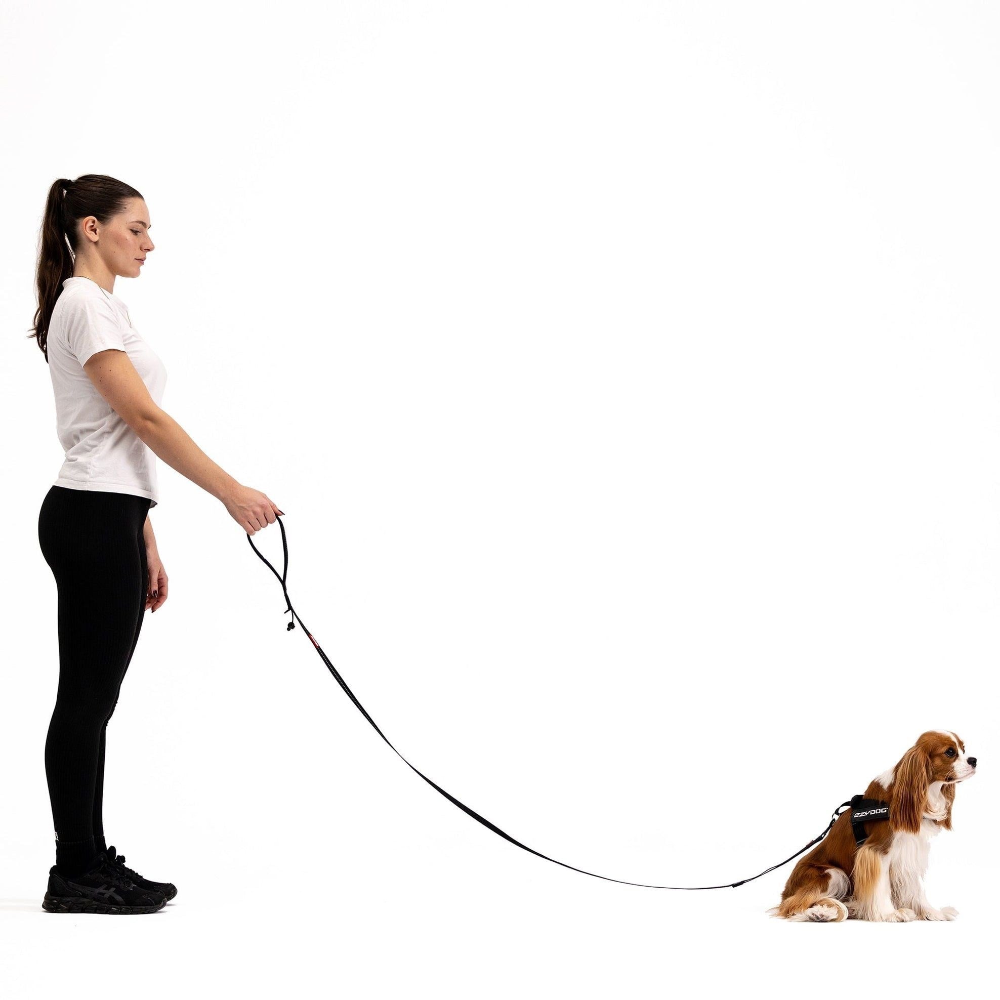 Ezydog Trainer Soft Lite Pembe Kamuflaj Kayış 12mm | Bikoşu Mama Ezydog Trainer Soft Pembe Kamuflaj Köpek Kayışı 