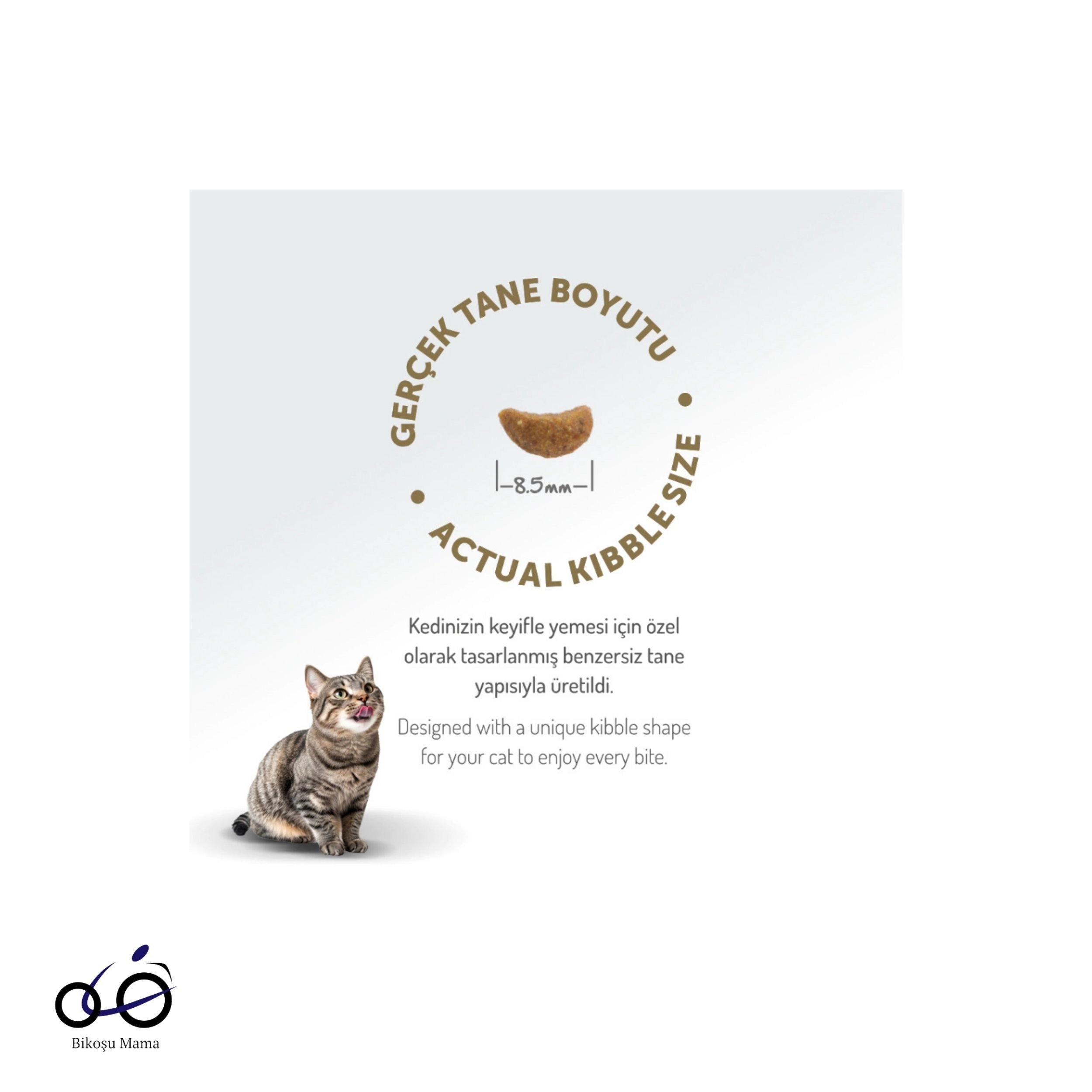 Felicia Kuzu Etli Hipoalerjenik Kedi Maması 2kg | Bikoşu Mama Felicia Hipoalerjenik Kuzu Etli Düşük Tahıllı Yetişkin Kedi Maması 2kg