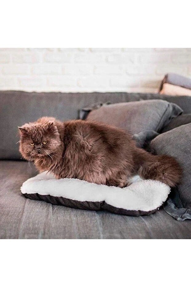  Ferplast Relax 55 Peluş Kedi ve Mini Irk Köpek Yatağı - Marrone Bej (55cm x 36cm)
