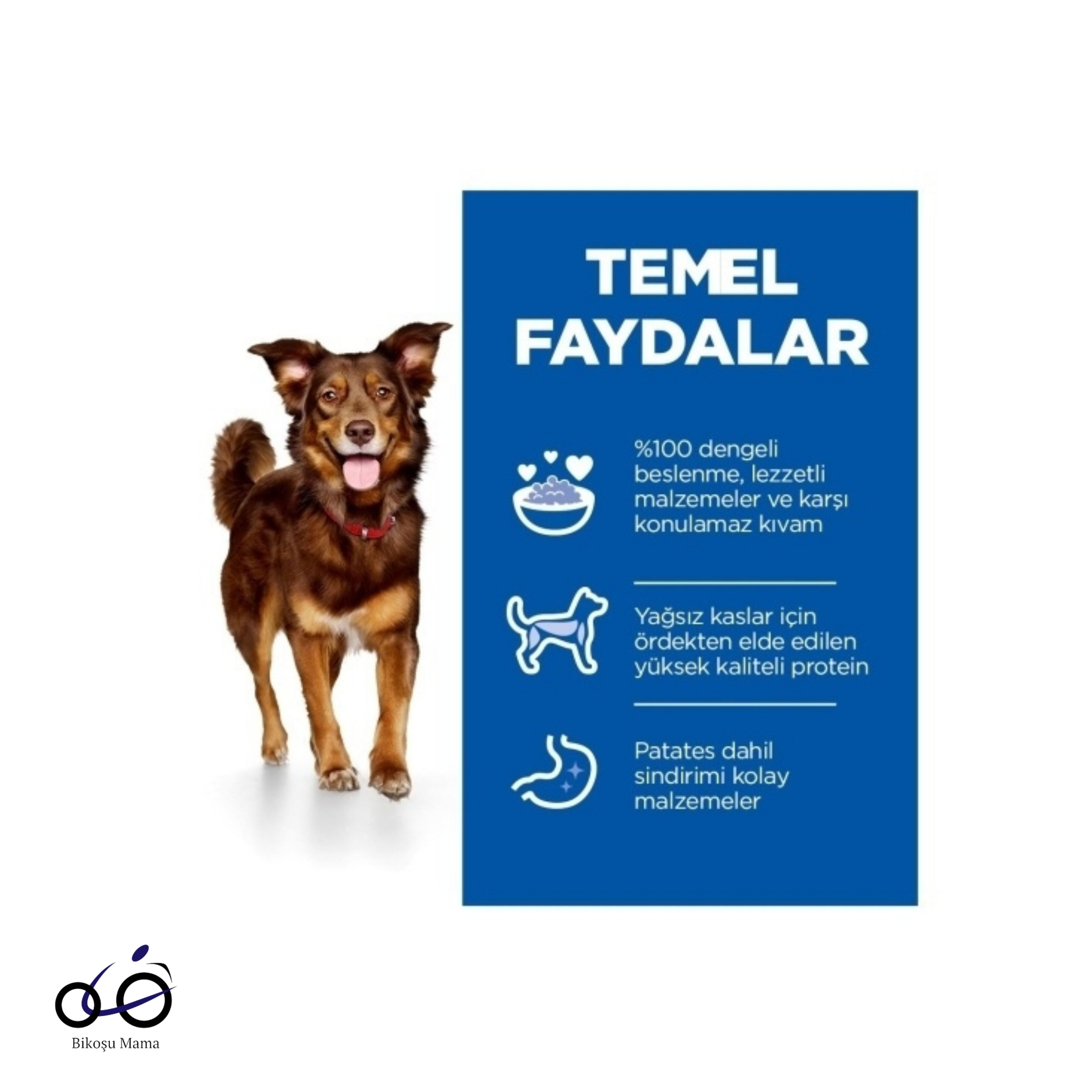 Hill's SCIENCE PLAN Culinary Creations Ördekli ve Patatesli Yetişkin Köpek Maması 14kg