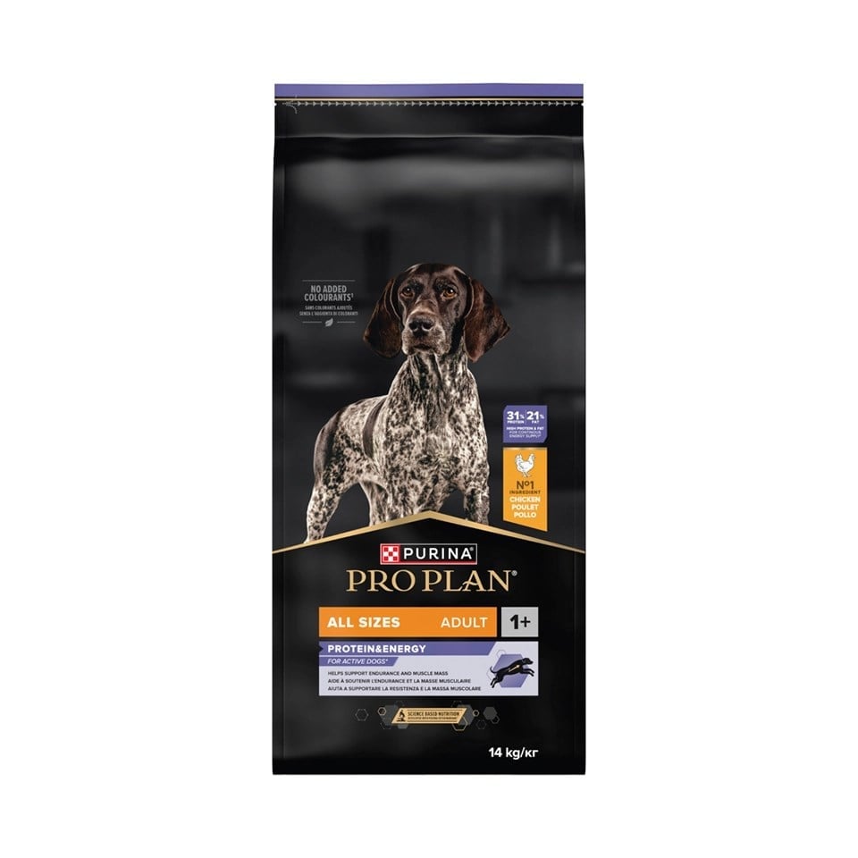  Pro Plan Protein & Enerji Tüm Irklar için Tavuklu Yetişkin Köpek Maması 14 kg