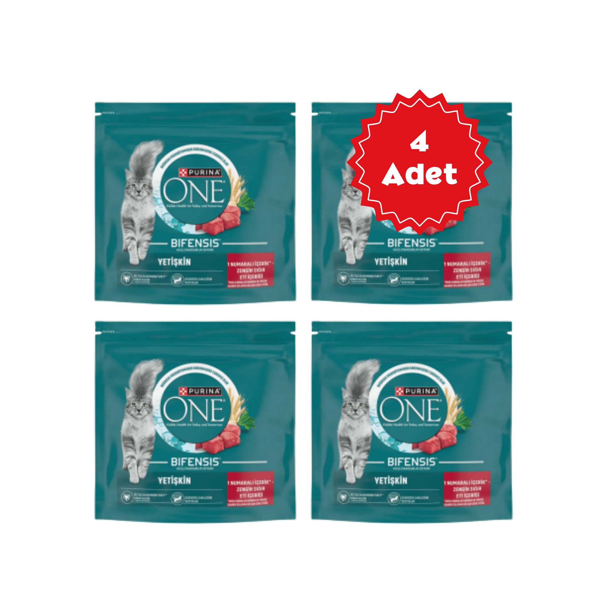  Purina One Sığır Etli Yetişkin Kedi Maması 750gr x 4 Adet