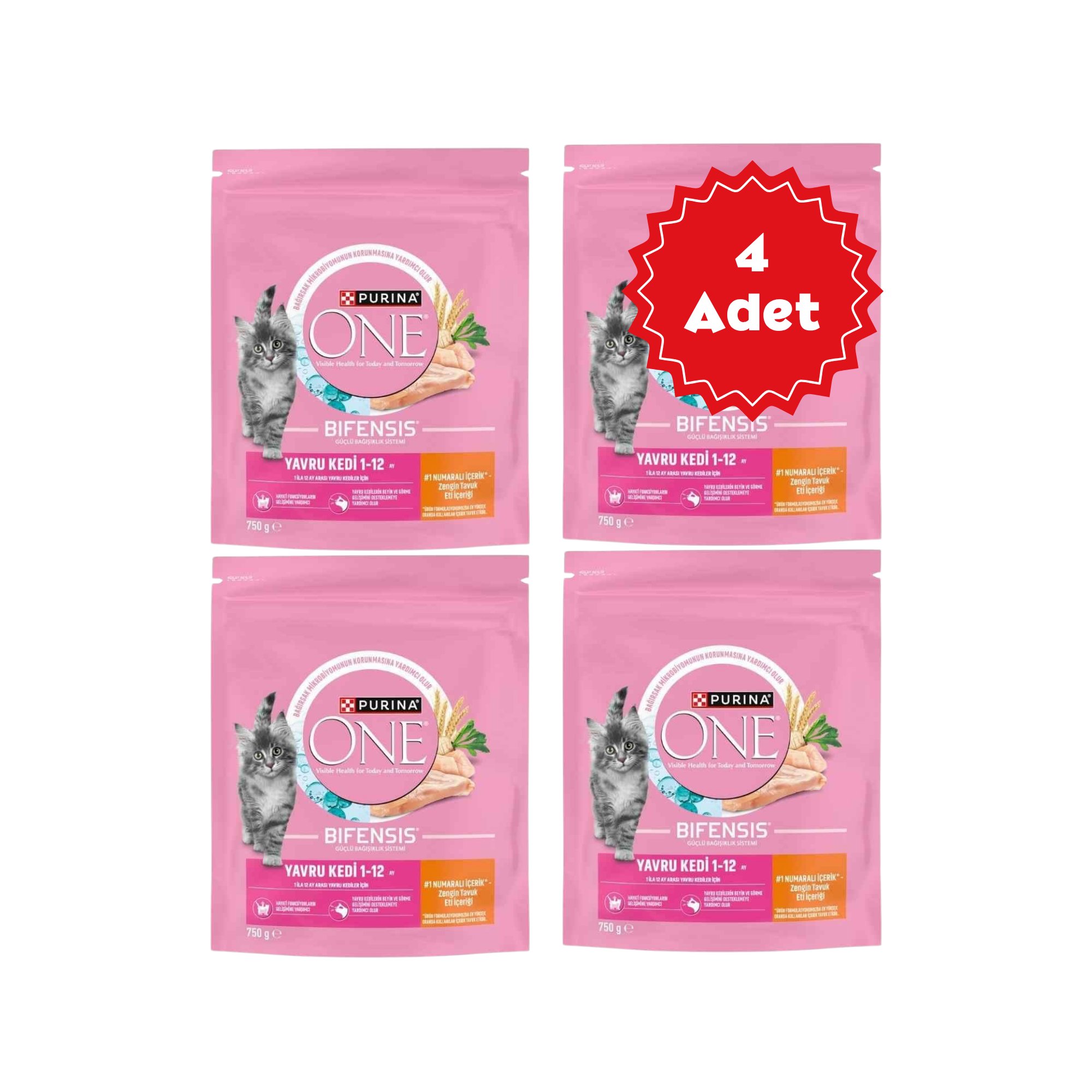  Purina One Tavuklu Yavru Kedi Maması 750gr x 4 Adet