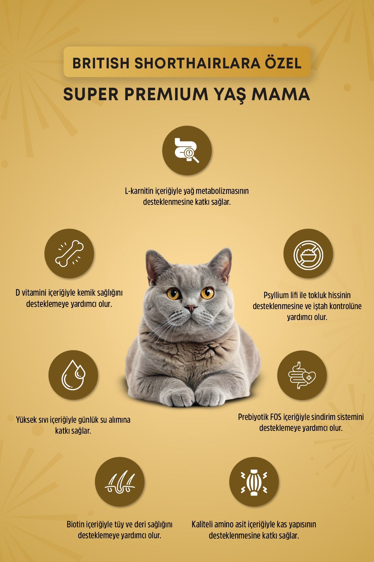  Reflex Plus Britsh Shorthair Yetişkin Kedi Konservesi 85gr x 12 Adet
