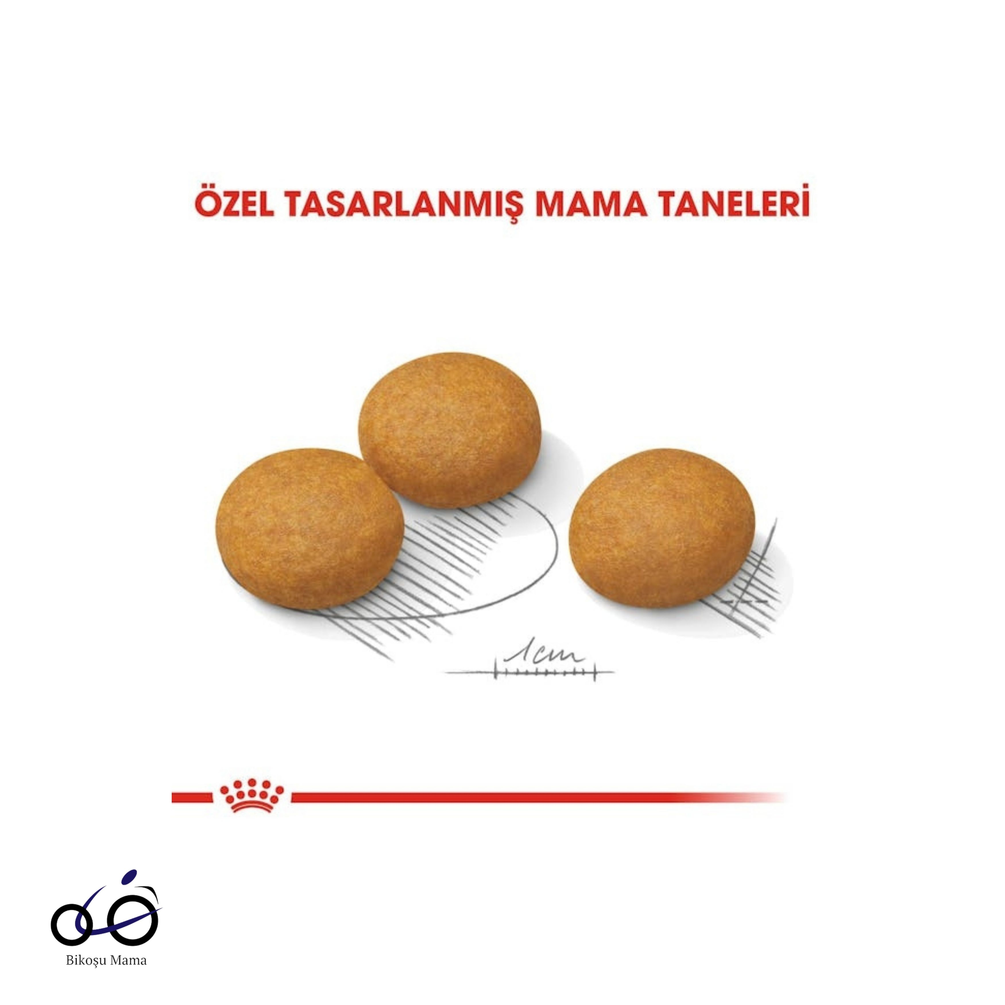 Royal Canin Dermacomfort Maxi Yetişkin Köpek Maması 12kg