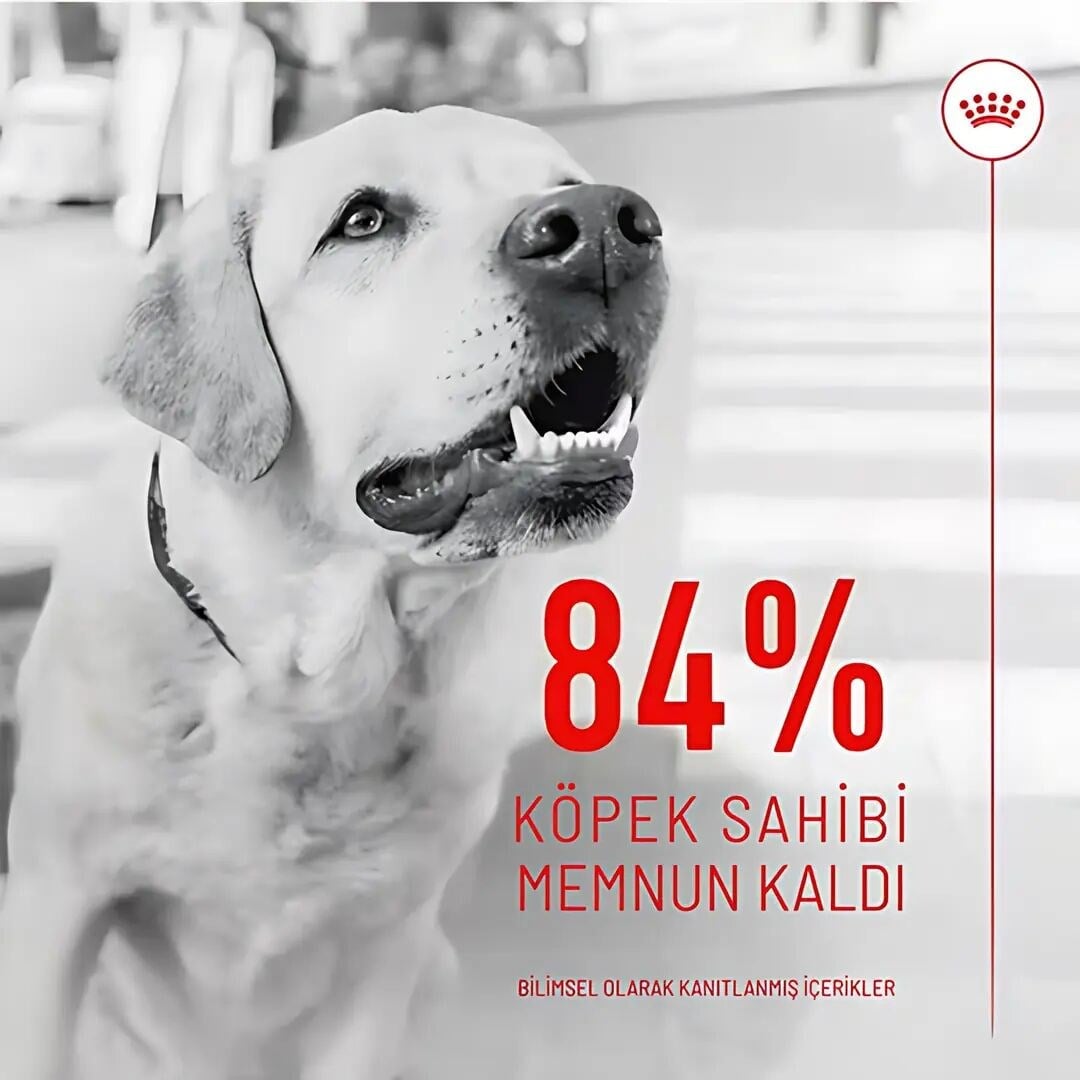  Royal Canin Digestion Chews Sindirim Sağlığını Destekleyen Köpek Ödül Maması 160gr