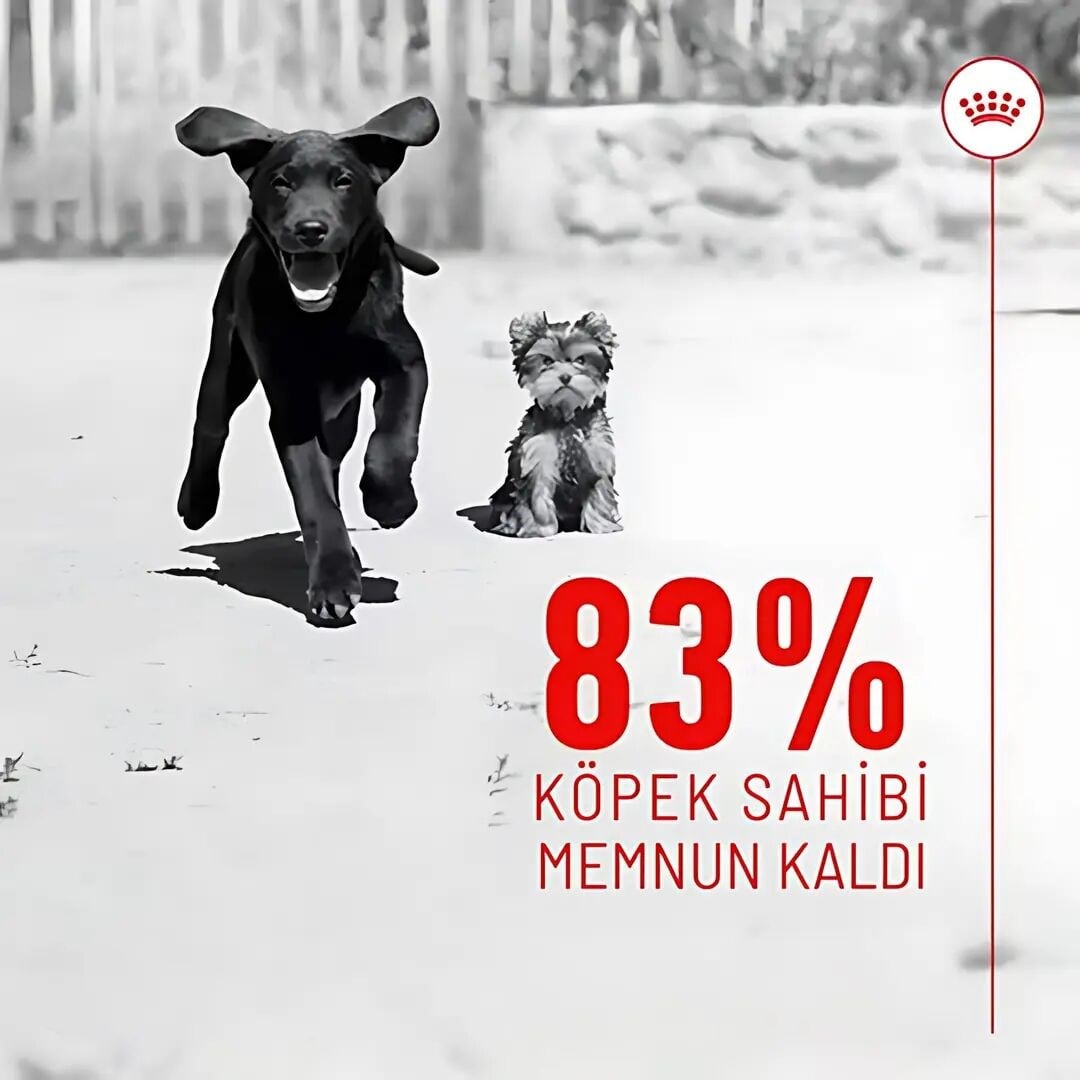  Royal Canin Immunity & Digestion Chews Bağışıklık ve Sindirim Sistemi Destekleyici Yavru Köpek Ödül Maması 100gr