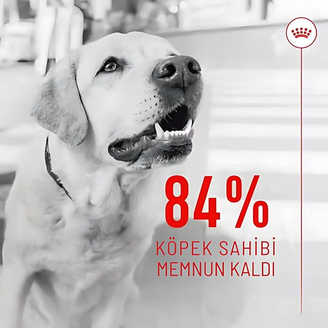  Royal Canin Skin&Coat Chews Deri ve Tüy Sağlığını Destekleyen Yetişkin Köpek Ödül Maması 240gr