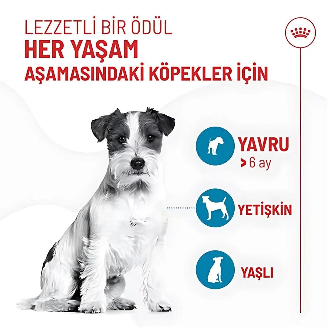  Royal Canin Training Treats Eğitim İçin Yavru Köpek Ödül Maması 110gr
