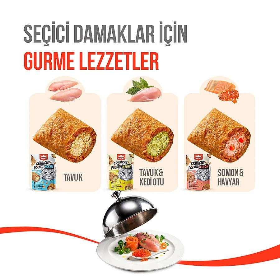  Wanpy Crunchy Pockets Kedi Otlu ve Tavuklu Kedi Ödülü 60gr