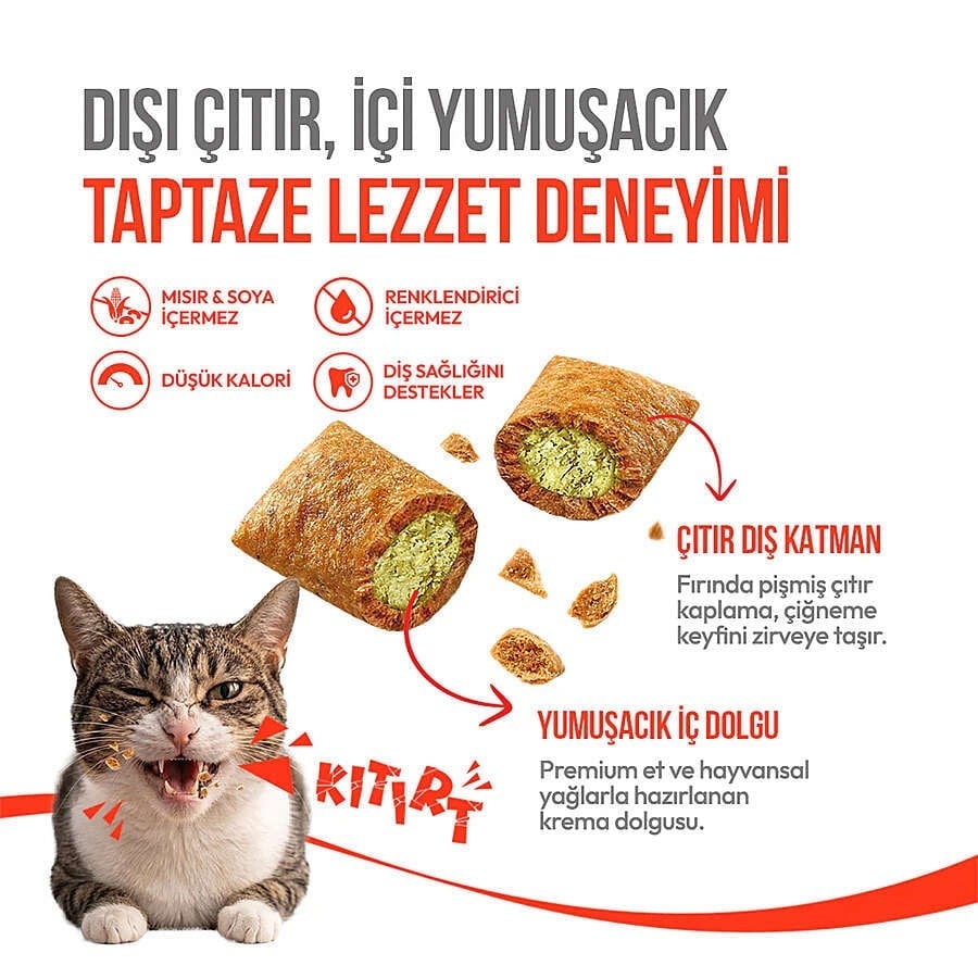  Wanpy Crunchy Pockets Kedi Otlu ve Tavuklu Kedi Ödülü 60gr