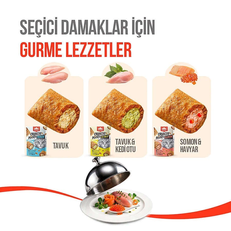  Wanpy Crunchy Pockets Somonlu Kedi Ödülü 60gr
