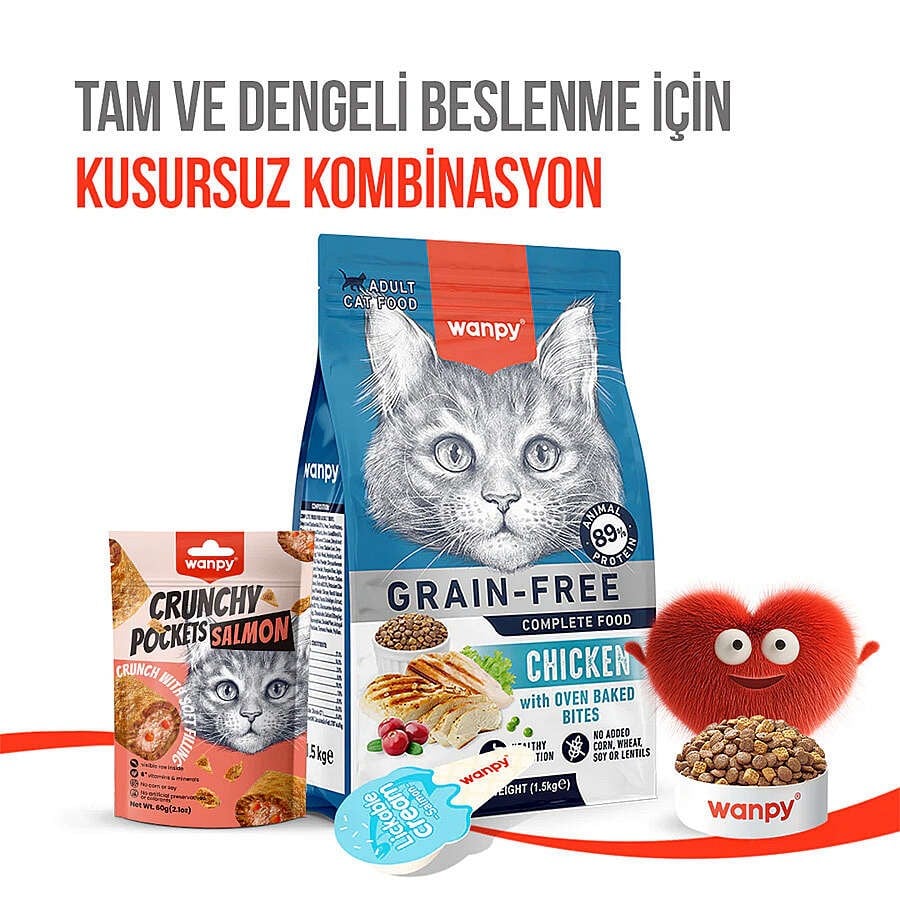  Wanpy Crunchy Pockets Somonlu Kedi Ödülü 60gr