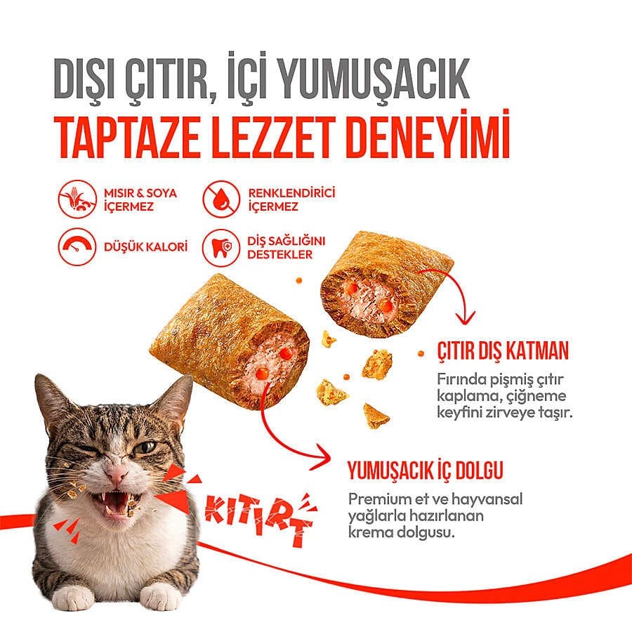  Wanpy Crunchy Pockets Somonlu Kedi Ödülü 60gr