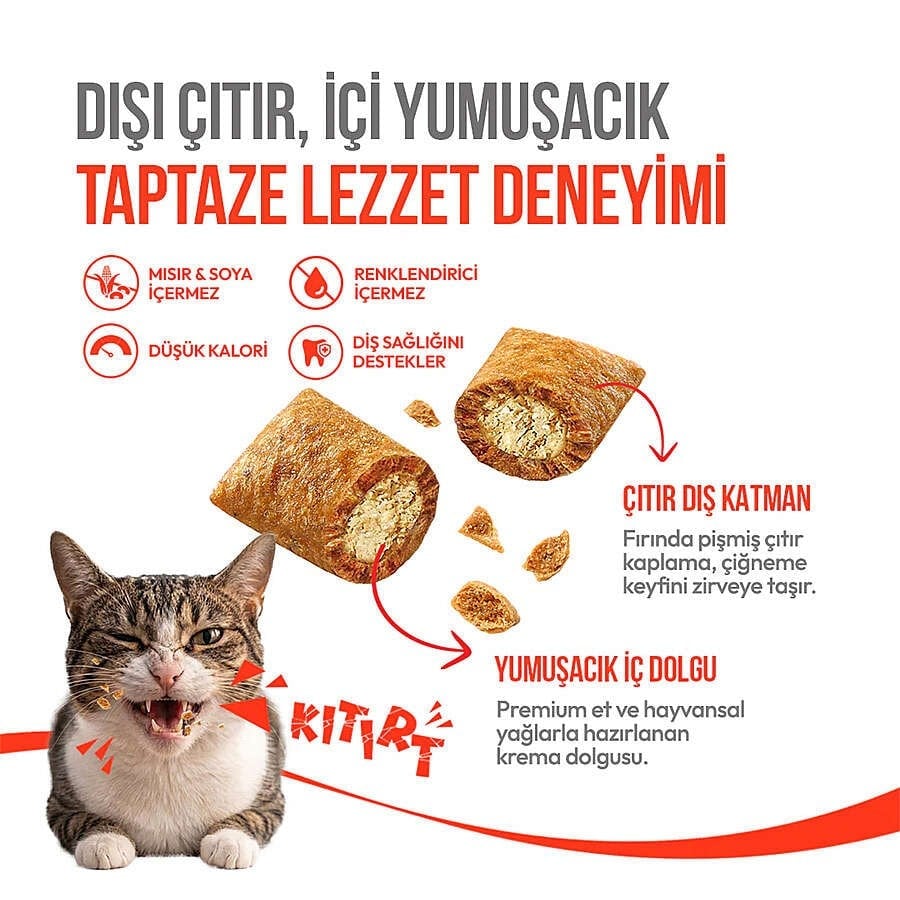  Wanpy Crunchy Pockets Tavuklu Kedi Ödülü 60gr