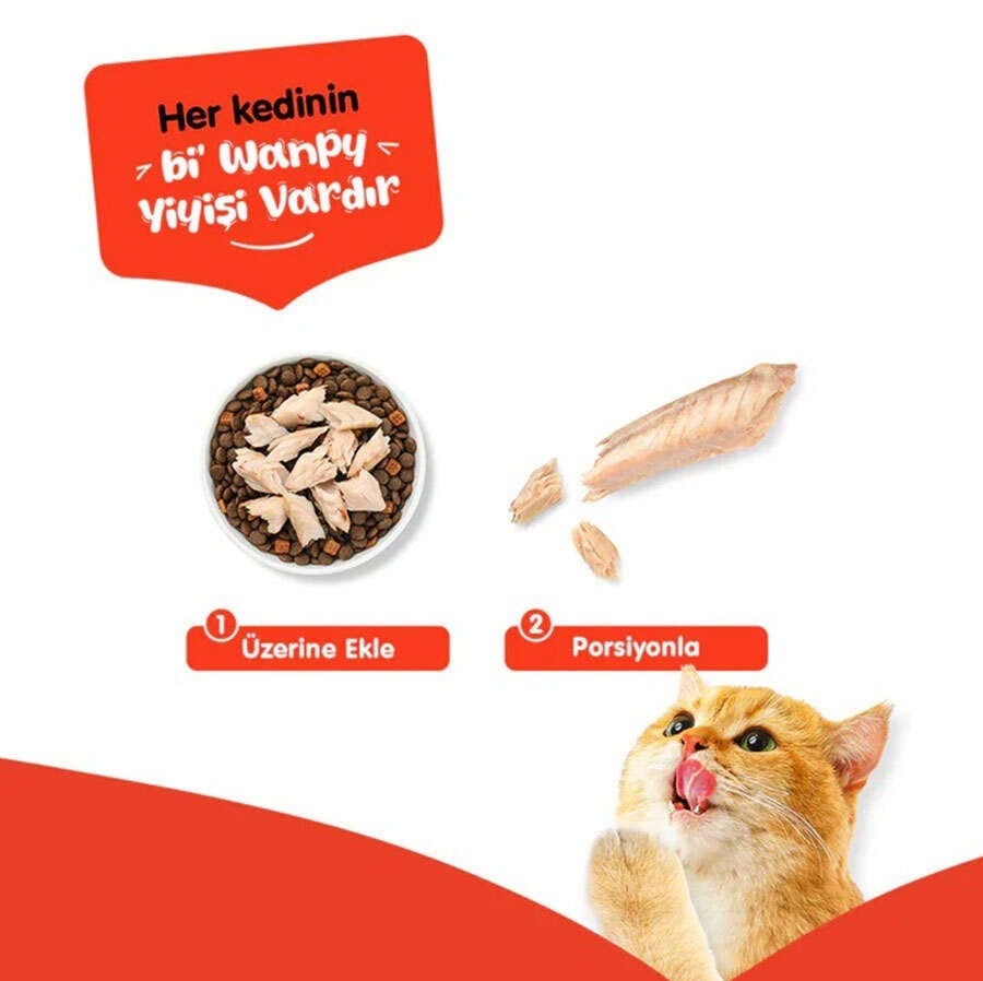  Wanpy Pure Tuna Fillet Ton Balığı Fileto Kedi Ödülü 25gr