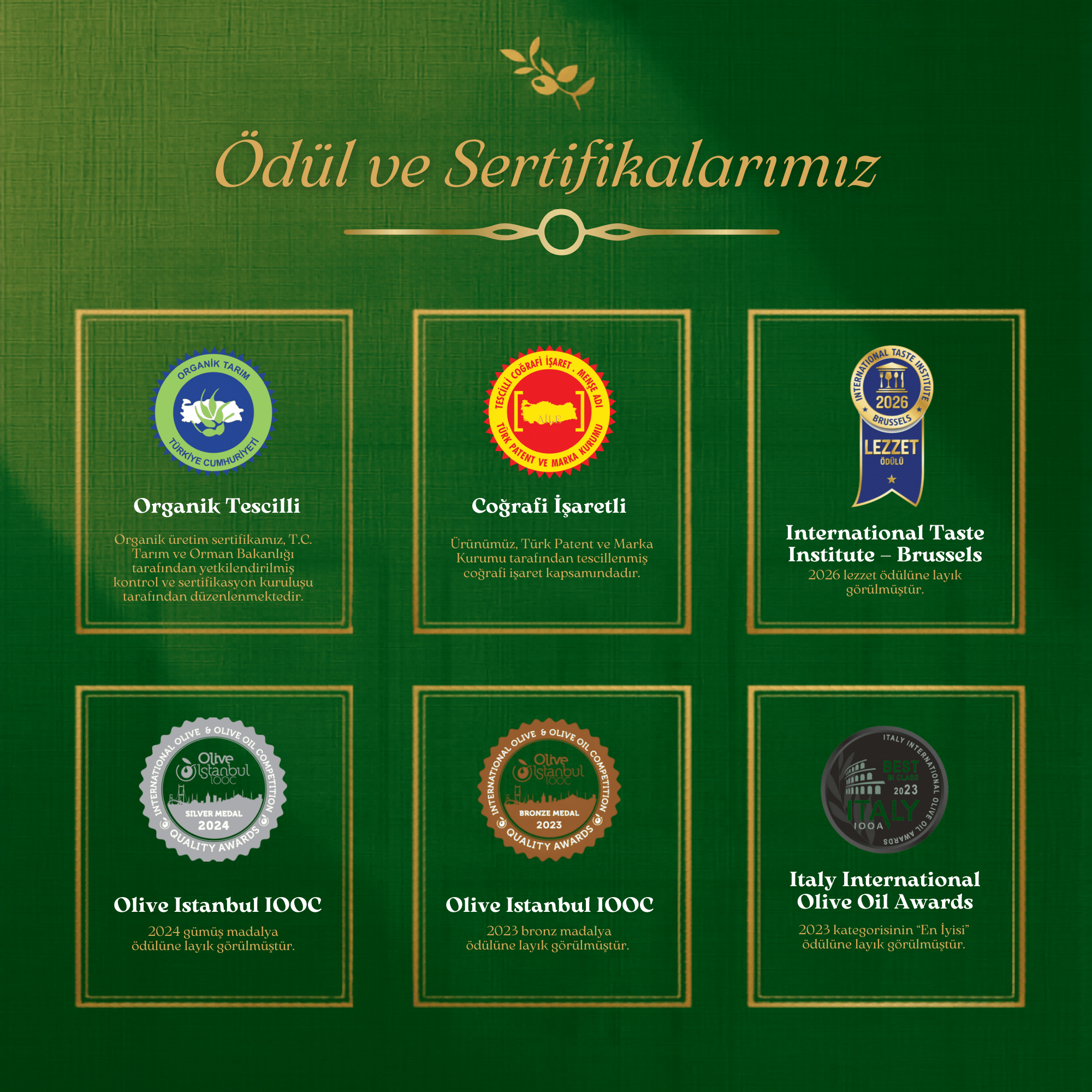 5L Premium İlk Gün Hasadı Zeytinyağı