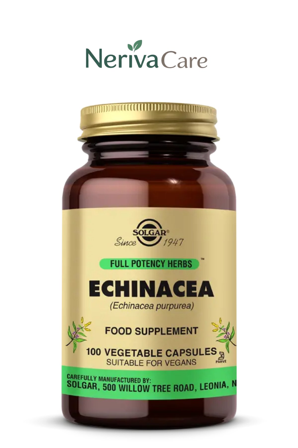 SOLGAR Echinacea