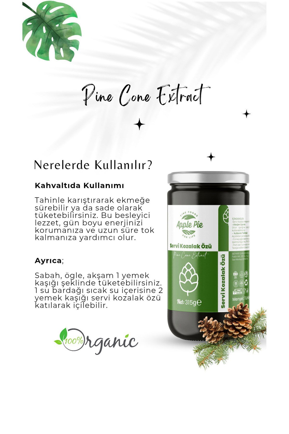 Servi Kozalak Özü 2 Adet