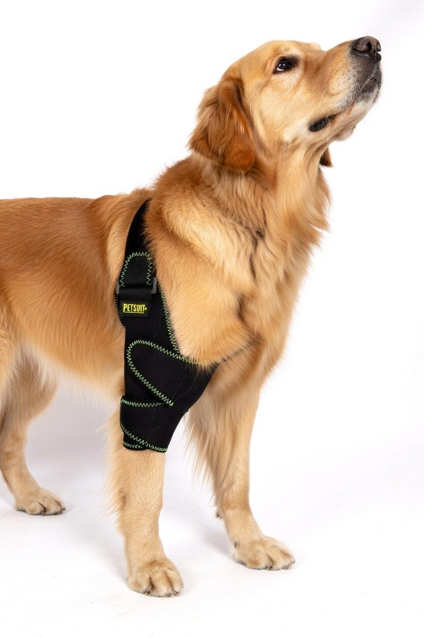 Köpek Dİrsek Ateli Medium 