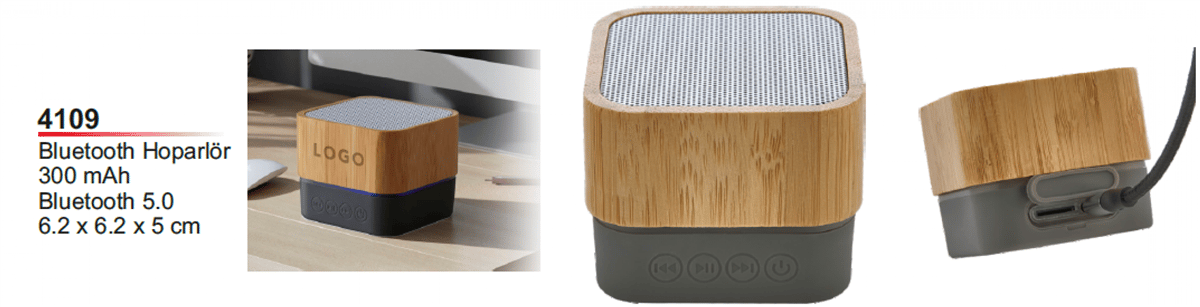 Bluetooth Hoparlör