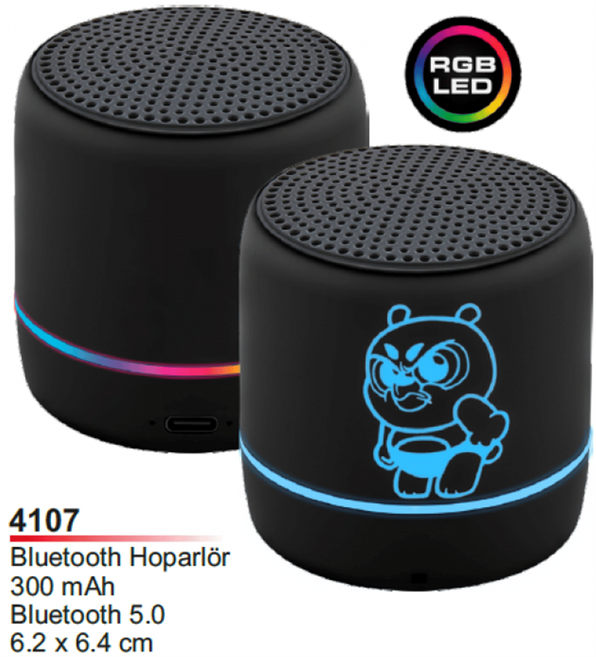 Bluetooth Hoparlör